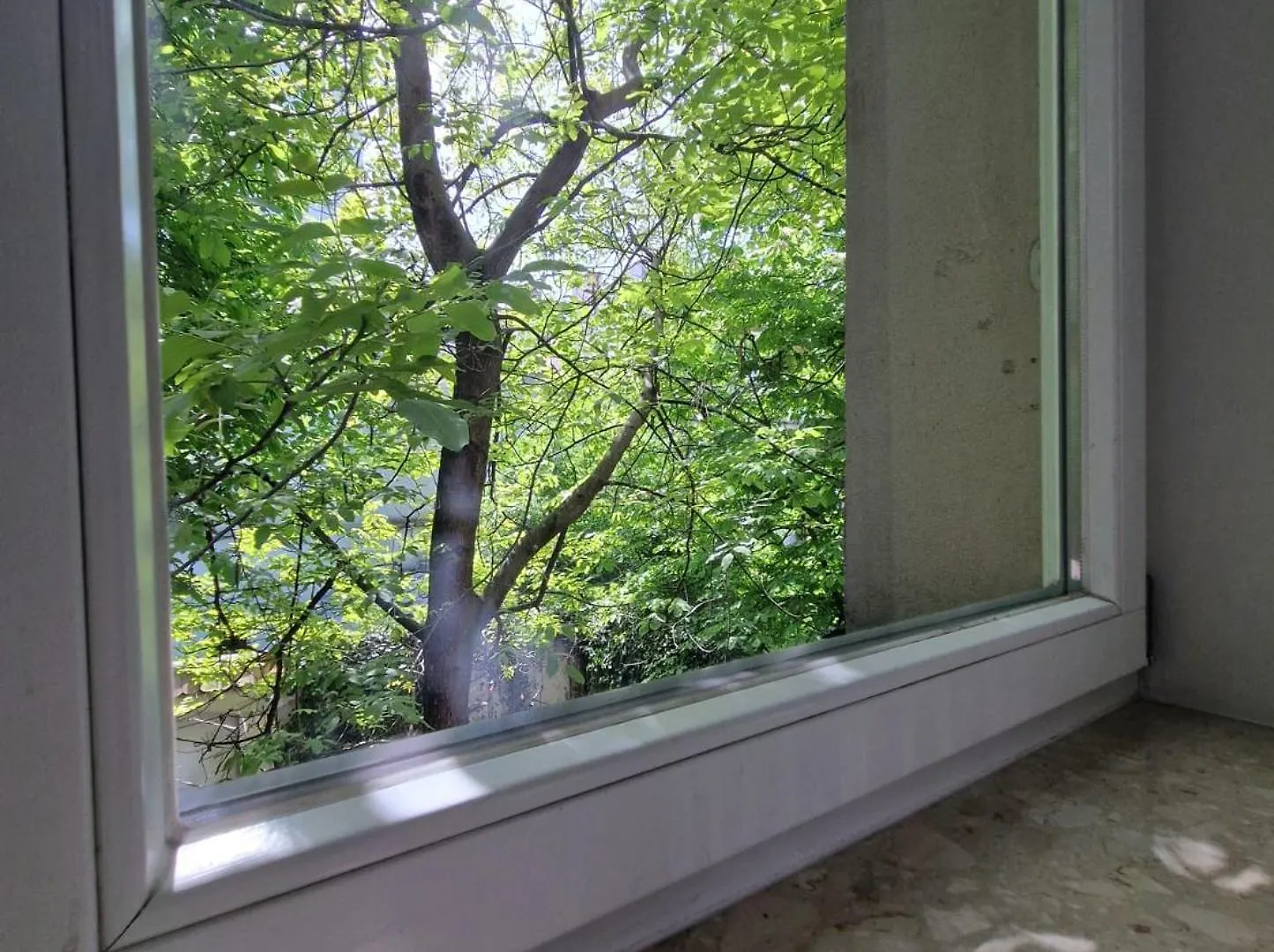 Brokilon House Daire Krakow Polonya